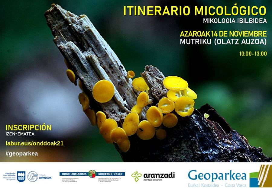 Geoparkea organiza el domingo BIOTOP: un encuentro para conocer la biodiversidad del valle de Olatz de Mutriku