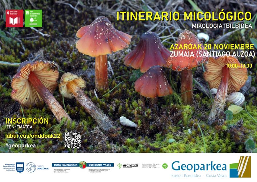 Geoparkea organiza el domingo BIOTOP: un encuentro para conocer la biodiversidad de la playa de Santiago 