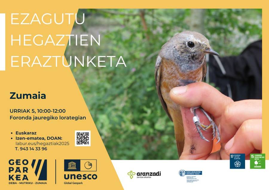 El Geoparque de la Costa Vasca organiza una sesión práctica para conocer de cerca el anillamiento de aves