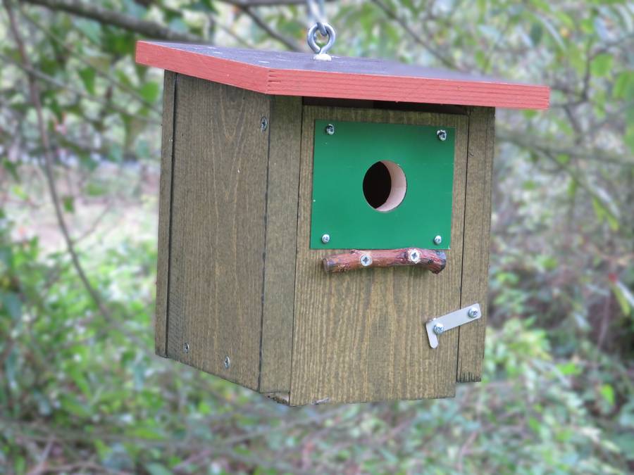 El Geoparque de la Costa Vasca organiza un taller para la colocación de nidos en el bosque