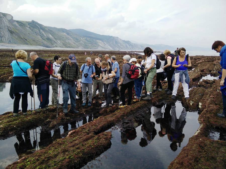 Visitas guiadas a la rasa mareal del Geoparque de la Costa Vasca este fin de semana