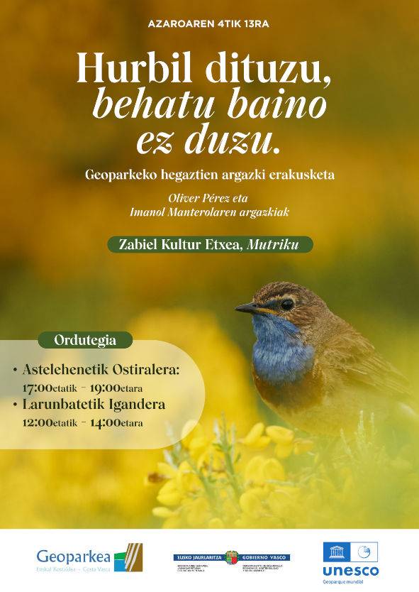 Mañana se inaugura una exposición en Mutriku de aves que puedes observar en el Geoparque de la Costa Vasca 