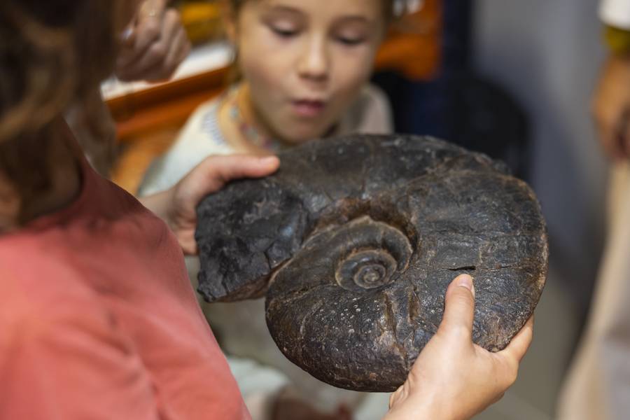 El Geoparque de la Costa Vasca organiza un renovado taller didáctico para niños en torno a los fósiles del Flysch