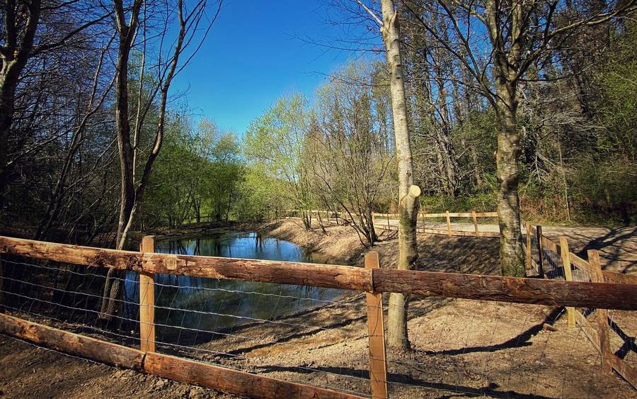 Organizada una plantación colectiva de árboles en el pozo de Ormola, por el Día Mundial de los Humedales