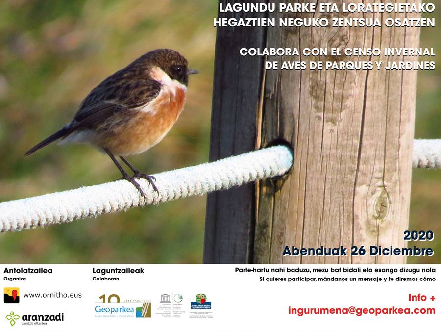 El Geoparque de la Costa Vasca se une al 1er Censo Invernal de Euskadi de Aves de Parques  y Jardines organizado por Ornitho