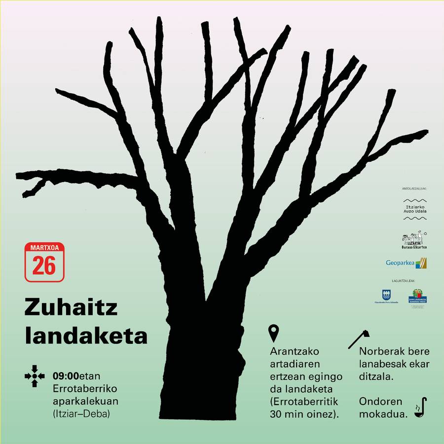 Llamamiento para plantar árboles en el encinar de Arantza el próximo domingo