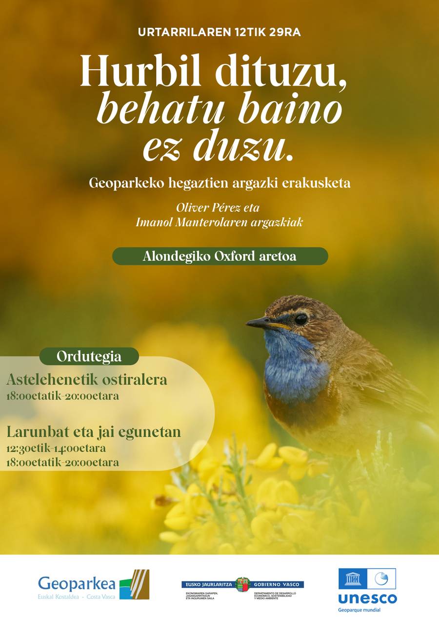 Este jueves se inaugurará una exposición en Zumaia de aves que puedes observar en el Geoparque de la Costa Vasca 