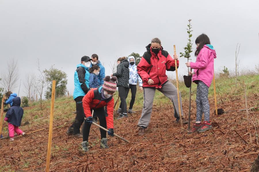 Ayer se plantaron 80 árboles en Elorriaga