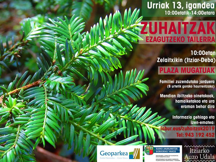 Geoparkea organiza un taller para reconocer e identificar los árboles